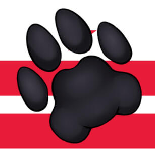 Furry DMV